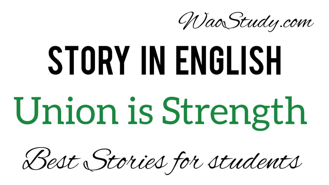 Union is Strength Story: A Fun Adventure of Teamwork - Wao Study