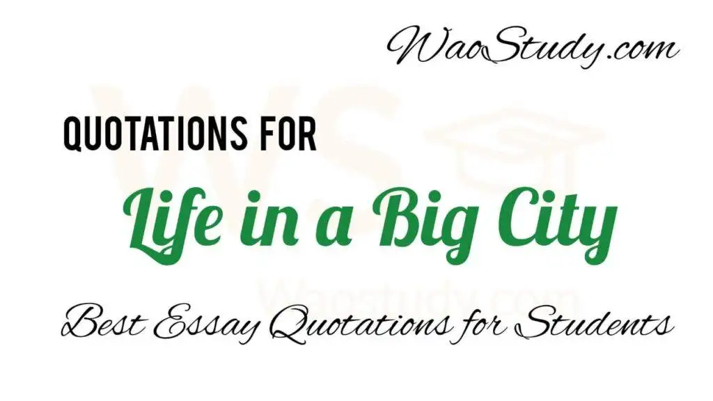 Life in a Big City Essay Quotations