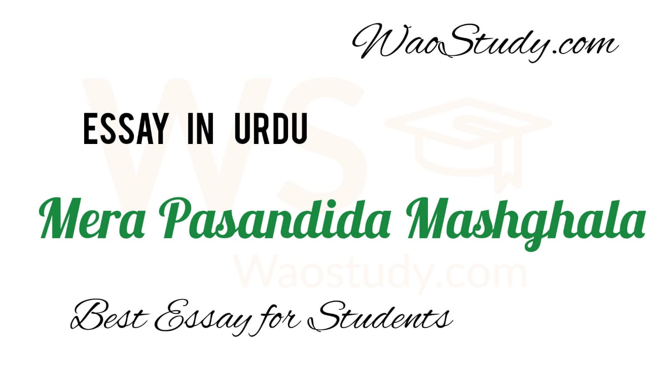 mera pasandida teacher essay in urdu